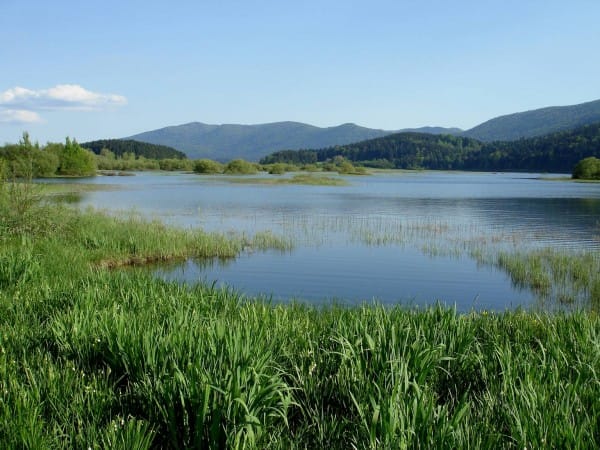 cerknisko jezero - Domov