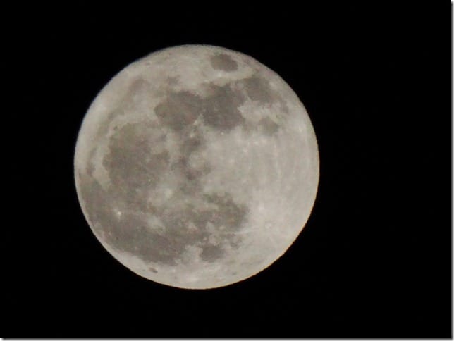 luna - Domov