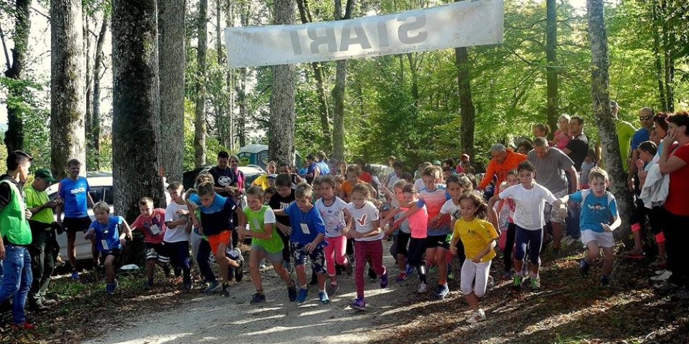 Rezultati 13. Teka po polhovih stopinjah