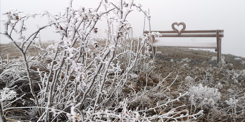 126. Nočni pohod na Slivnico