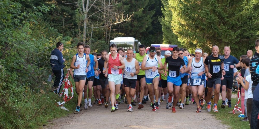Napoved ELGONova Notranjskega tekaškega pokala 2017