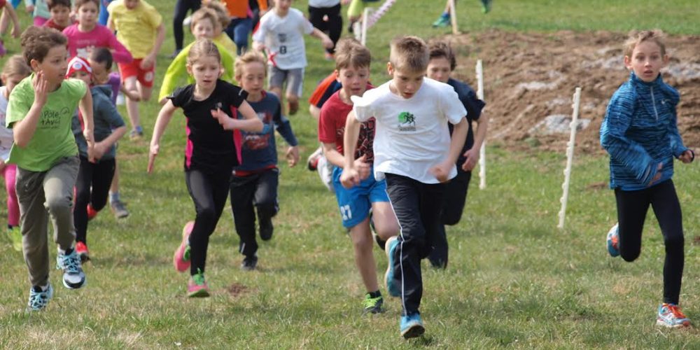 ELGONOVA NOTRANJSKI TEKAŠKI POKAL 2016