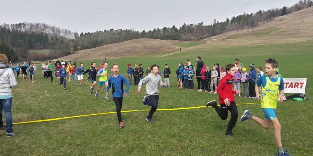 Rezultati 8. Maistrovega teka