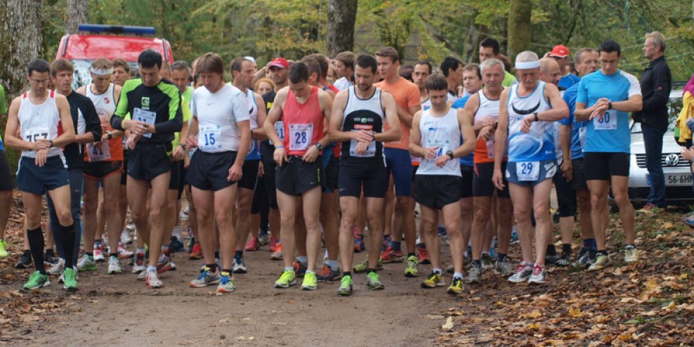 13. Tek po polhovih stopinjah