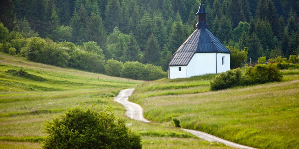 Rezultati 2. Teka po sledeh medveda, Loški Potok