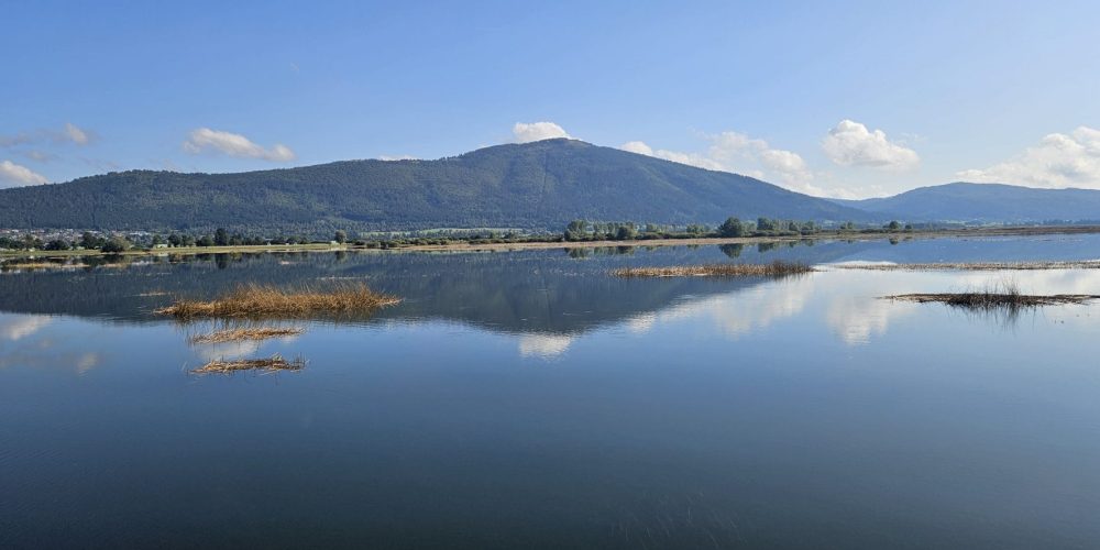 113. Nočni pohod na Slivnico