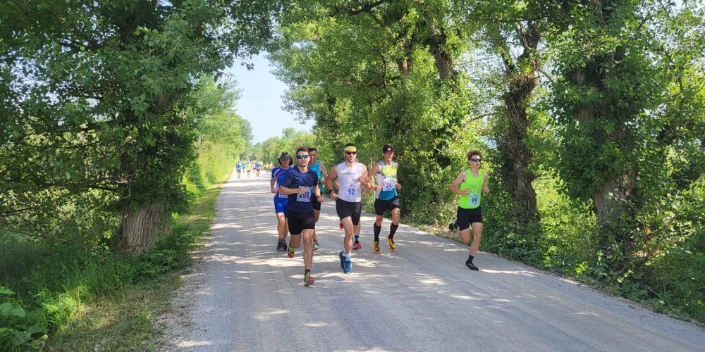 Rezultati 24. teka ob Cerkniškem jezeru