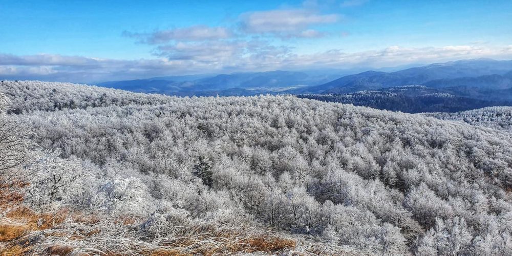 (Ne)znane tekaške in pohodniške poti Javornikov (I.del)