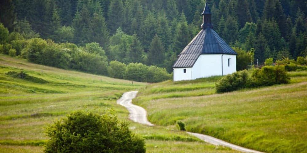 Rezultati 2. Teka po sledeh medveda, Loški Potok